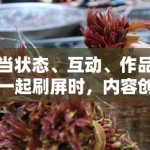 当状态、互动、作品一起刷屏时，内容创作者最该警惕的是信息不足还是情绪过量